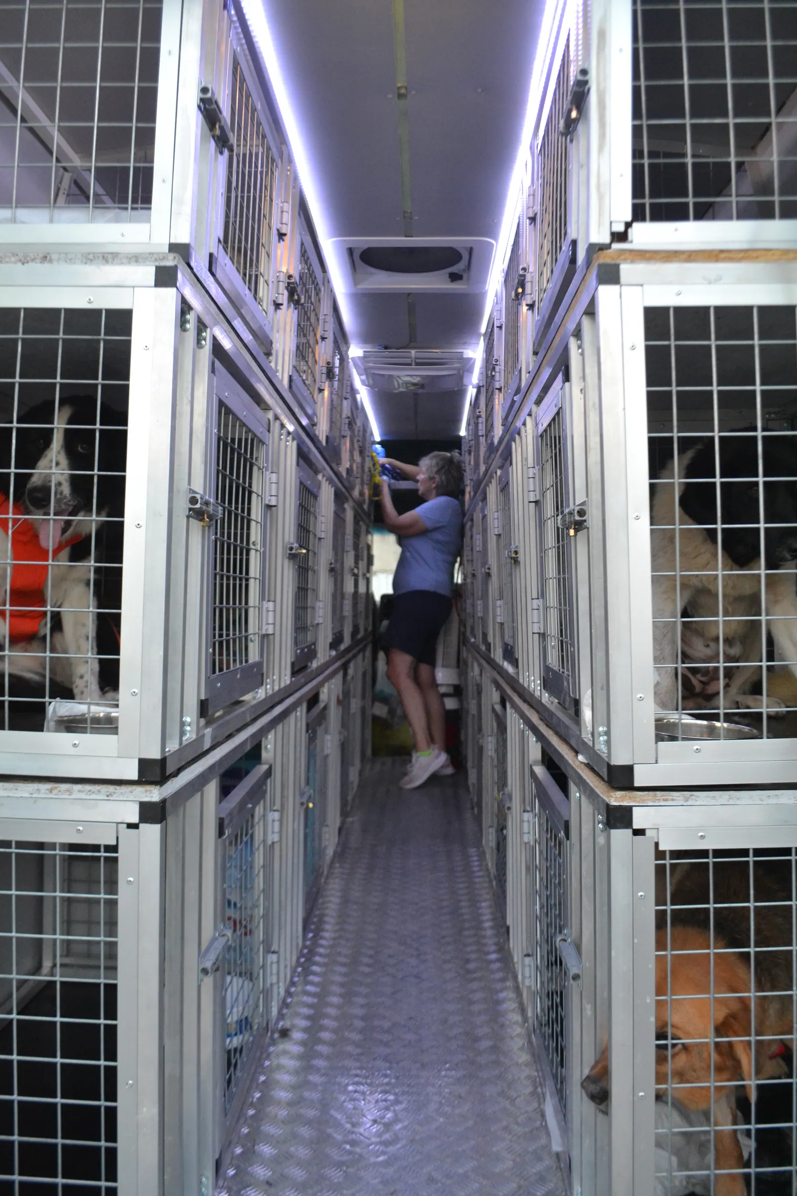 Fleet photo 2